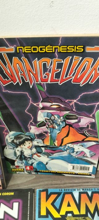 Lote Revistas Manga Evangelion y KAME