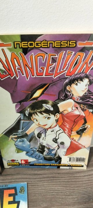 Lote Revistas Manga Evangelion y KAME