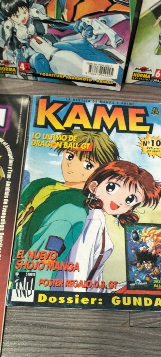 Lote Revistas Manga Evangelion y KAME