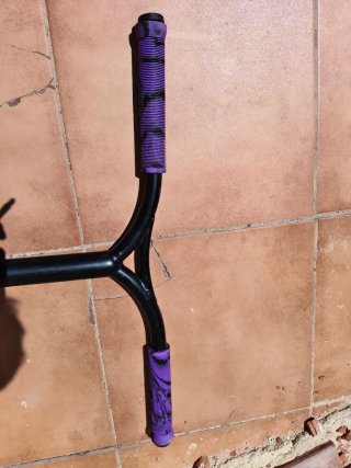 Patín Bestial Wolf Rocky Morado