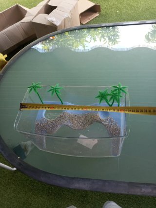 Tortuguera con decorado de palmeras