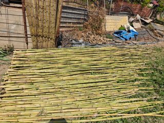 Cañas para el huerto