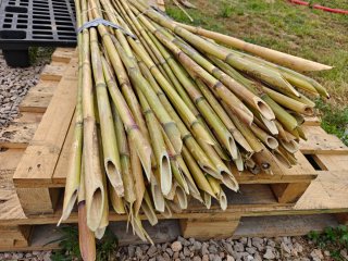 Cañas para el huerto