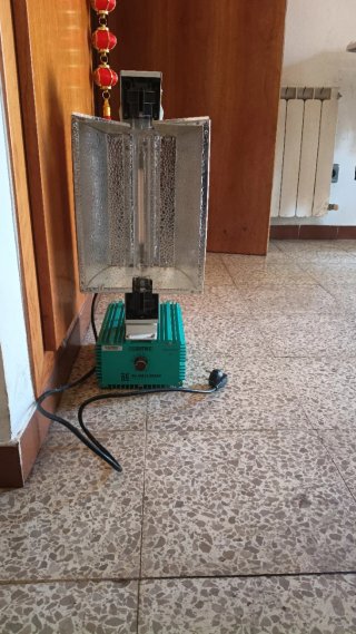 Foco de Luz 1000W