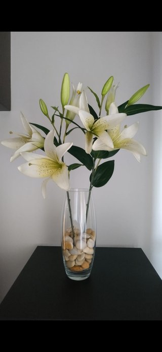 Planta Decorativa Blanca