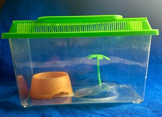 Set acuario/terrario pequeño completo