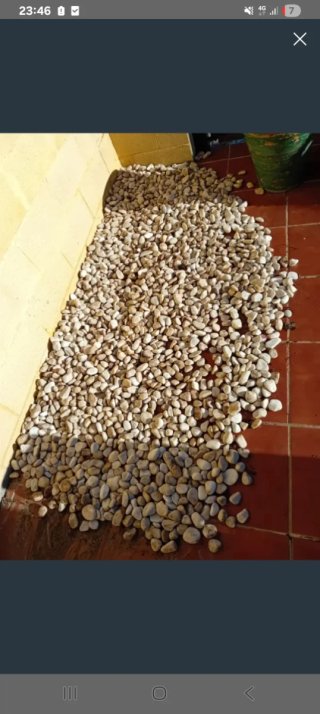 Piedras blancas para decoración