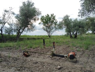 Desbrossament i neteja de terrenys + poda d’arbres