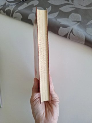 Bajo la misma estrella