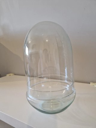 Cúpula de cristal para terrario.