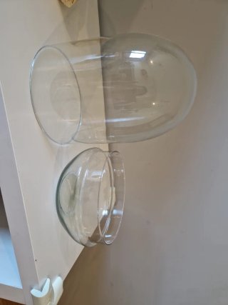 Cúpula de cristal para terrario.