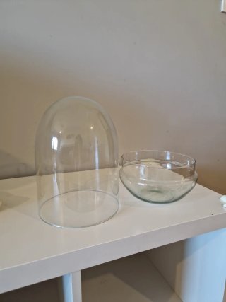 Cúpula de cristal para terrario.