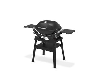 Barbacoa Weber Q 2200N con Stand
