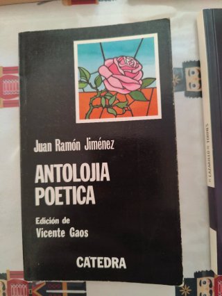 Libros lectura Literatura Española