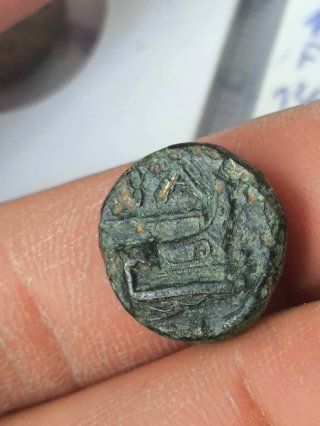 Moneda Griega Reino Macedonio Demetrio Poliorcetes