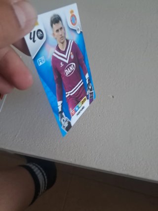 Cromos de fútbol Panini RIEDEL y FORTUÑO