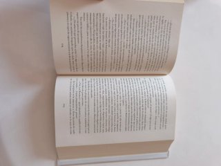 Las hijas del Capitán (Spanish Edition)