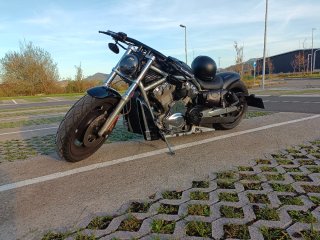 V Rod Harley Davidson