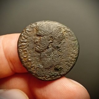 Moneda Romana Agrippa Escasa