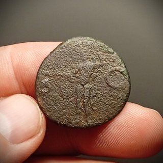 Moneda Romana Agrippa Escasa