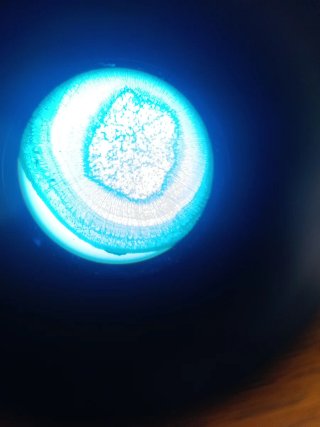 Microscopio Invertido ELMU XD-1606