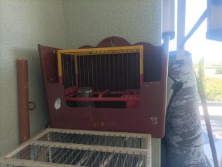 Ho 8 gabbie per cardellini, vendo a 5,00 € ciascuna