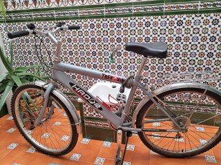 Bicicleta Hador Trekking