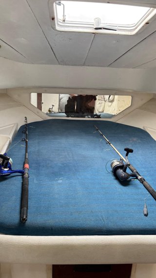 Barco Rodman 900
