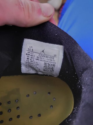 Zapatilla Baloncesto Air Jordan XXXVI (36)