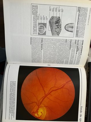 Enciclopedia de medicina y enfermería