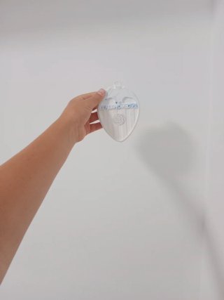 Escudo Valencia CF 3D