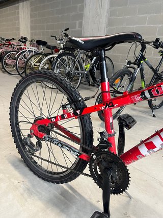 Bici Mountain Bike Ragazzo Dirty Eagle 24'' Rossa