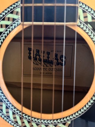 Guitarra Acústica Dallas AG10N con funda