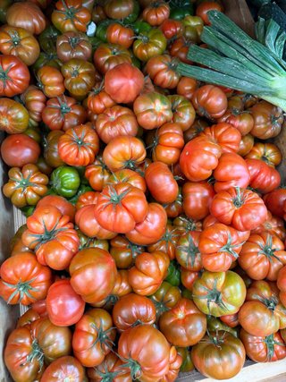 Busco frutero con papeles