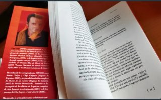 Los ensimismados