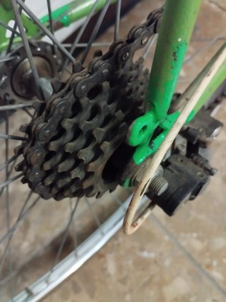 Bicicleta Orbea Clásica Verde