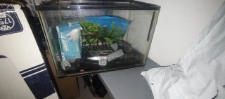 Acuario con accesorios