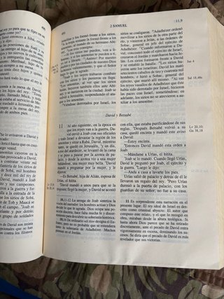 Biblia del Peregrino.Luis Alonso Schökel