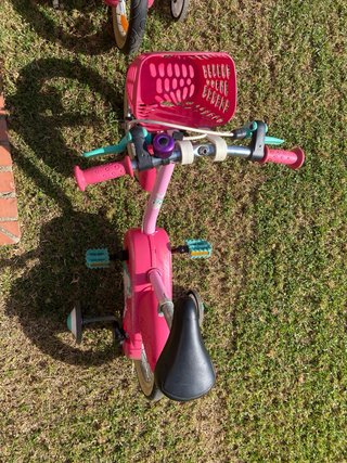 Bicicletas niña 14 con ruedines