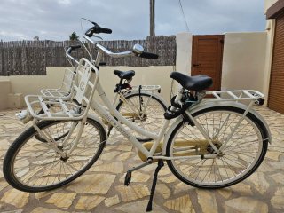 2 Bicicletas Holandesa Blancas