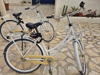 2 Bicicletas Holandesa Blancas