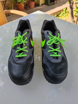 Zapatillas Nike Air Wildwood ACG