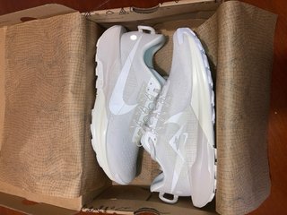 Nike Pegasus Trail 5 Beige/Blanco