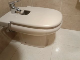 Sanitarios Roca Beige y espejo con armario