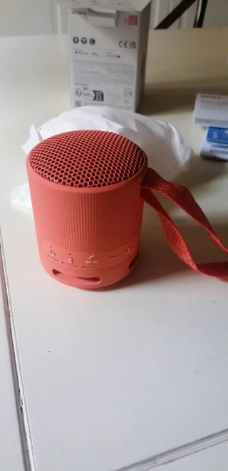 Altavoz Portátil Sony XB100 Inalámbrico