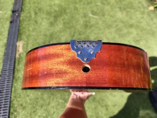 Mandolina portuguesa marca Salterio, con funda