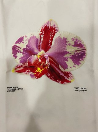 Bershka Crop Top Floral