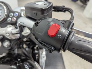 Triumph Bonneville T 100