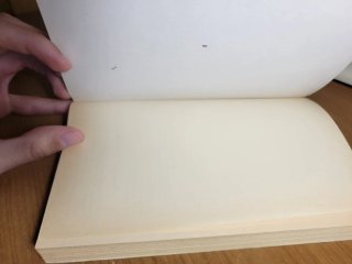 Lobo espacial warhammer libro