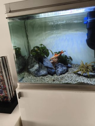 Acuario 150L con mueble y accesorios